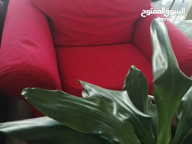Ikea sofa and arm chair with renewable covers  كنب آيكيا ذات غطاء متجدد