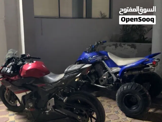 2019 Suzuki GSX250R