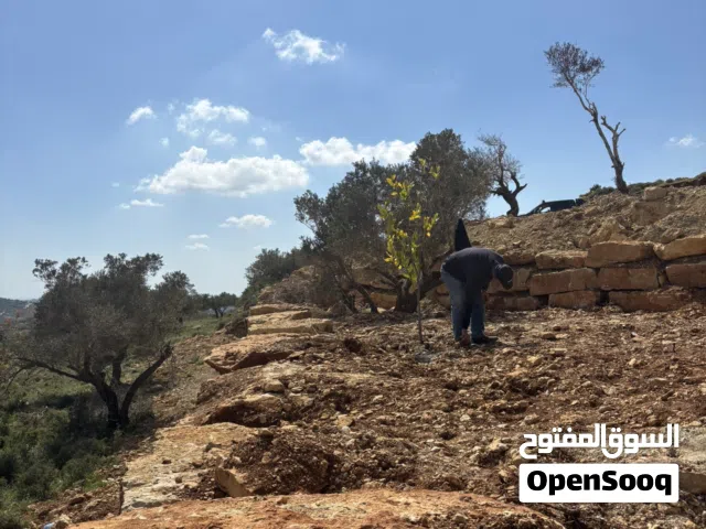 قطعة أرض في المزرعة الغربية
