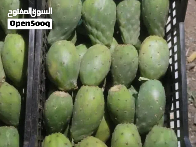 بلس غيماني