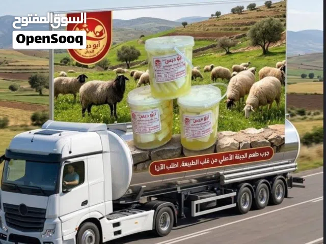 جبنة بيضاء مغلية غنم صافي 100%