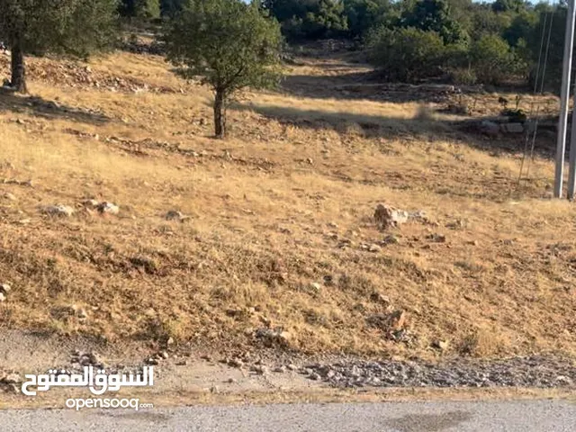 Residential Land for Sale in Ajloun E'in Jana