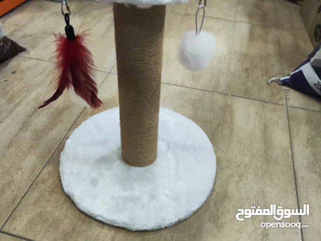 غداشه قطط عاموديه بالاضافه الى لعبتين لعبه شمال ولعبه يمين بسعر حرق