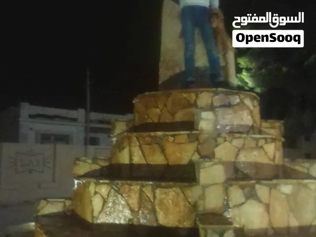 نبي كلب بيتبول للتبني ما يكونش صغير هلبه ولا كبير هلبا