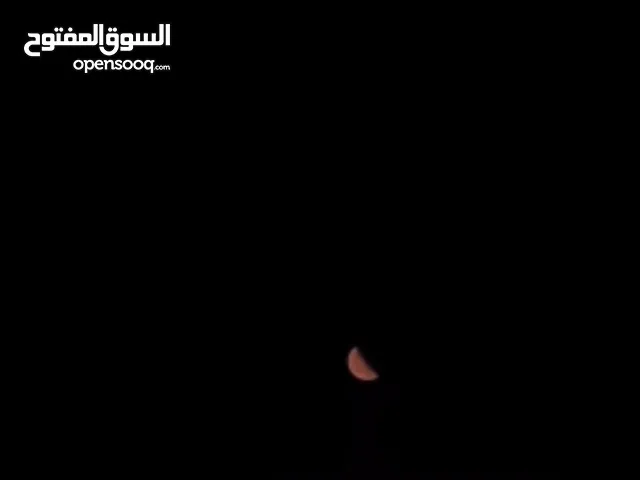 موجود بمادبا جاجتين وديك بلديات وجاجة تحتها 10 صيصان وبدها ترقد للبدل على عصافير