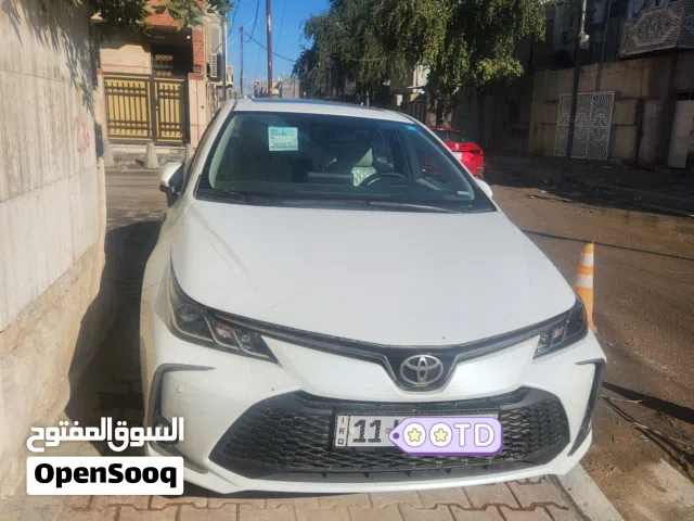 New Toyota Corolla in Baghdad