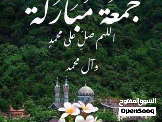 السلام عليكم راح مني ماشيه نسل العثر عليه مراسلة هذا الرقم ولكم الاجر والثواب