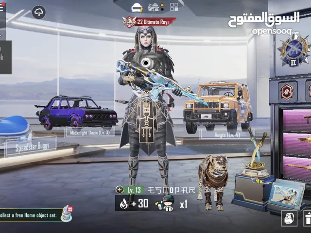 Pubg Accounts and Characters for Sale in Sharqia