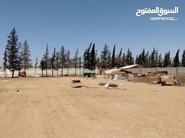 Residential Land for Sale in Amman Al Qastal