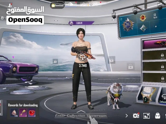 حساب ببجي للبيع فيه اسلحه مطور