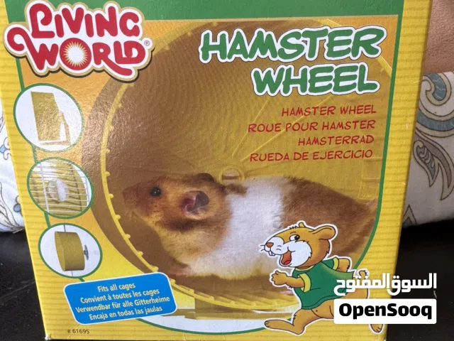 Hamster wheel