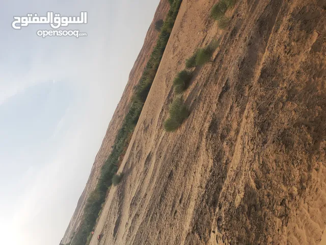 مزرعه للاستثمار بها بيت وطاقه شمسيه