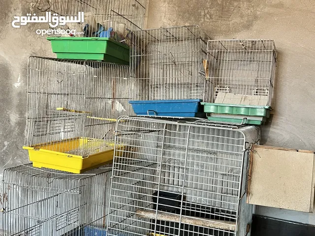 للبيع بسعر مغري 6اقفاص عصفير للبيع