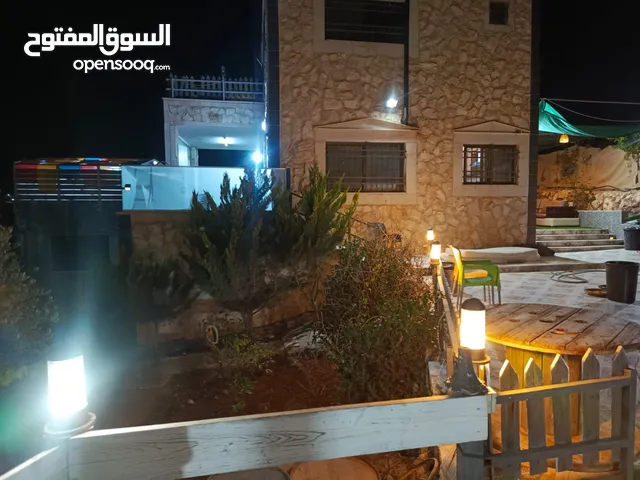 Farm Land for Rent in Mafraq Rhab