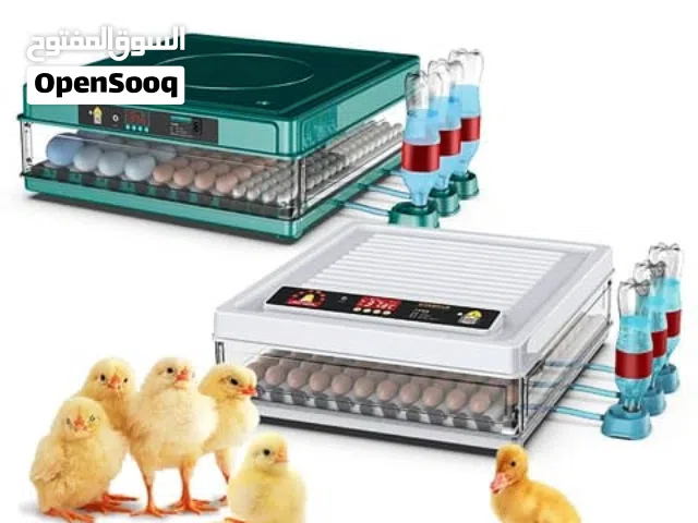 فقاسة بيض يتوفر توصيل