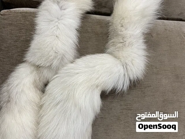 جديد فرو لونه بيج فاتح