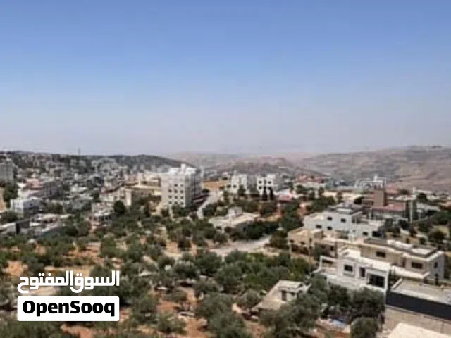 4 دونمات في حوض حصلون الشرقي – إطلالة بانورامية على شارعين – 500 دينار للمتر