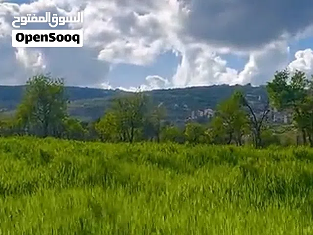 Mixed Use Land for Sale in Hebron Dura