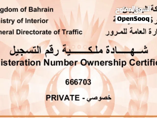 رقم مميز للبيع 666703