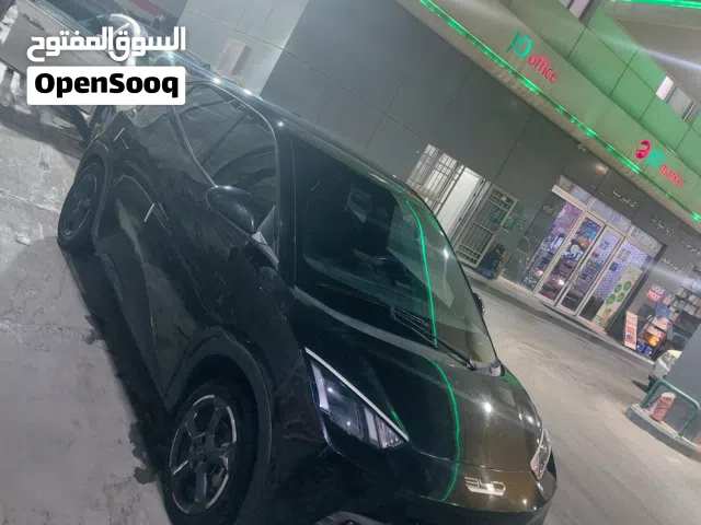2023 بي واي دي سيجول
