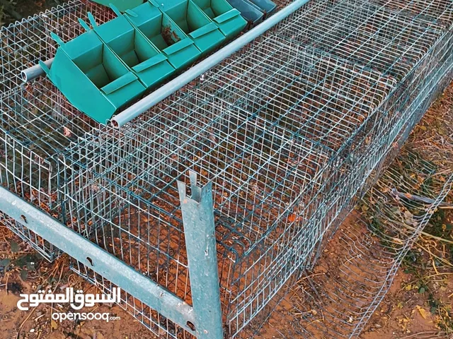 حضانة ارانب عشره حجرات