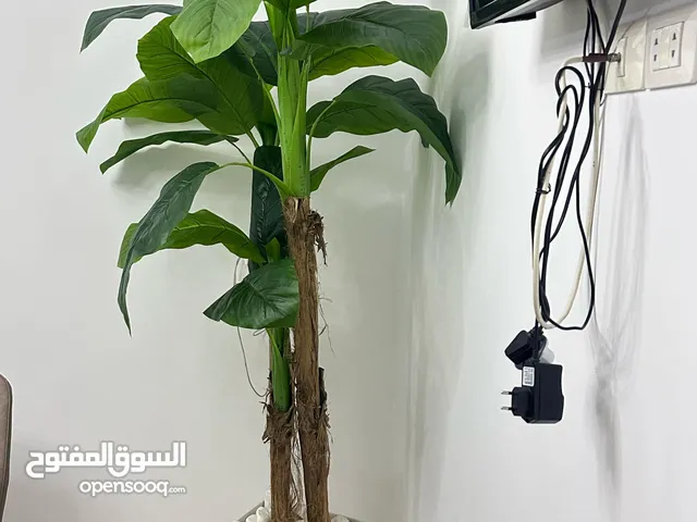 شجرة اصطناعية نظيفه هلبا