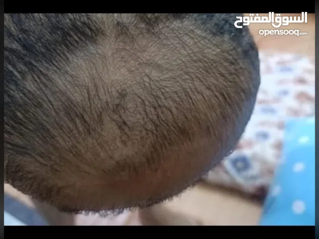 منتجات الدورة