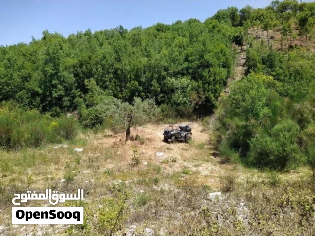 Mixed Use Land for Sale in Batroun Other