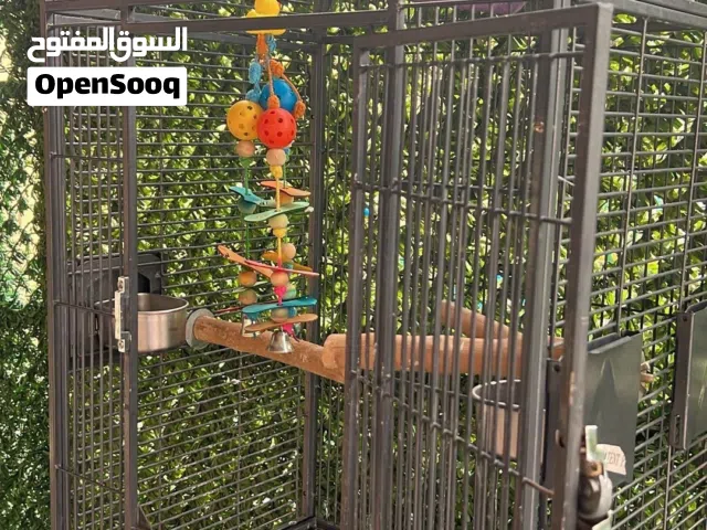 للبيع قفص كبير يوسع مكاو وجميع انواع البغباء القفص نظيف شبه جديد مع كامل اغراضه ......