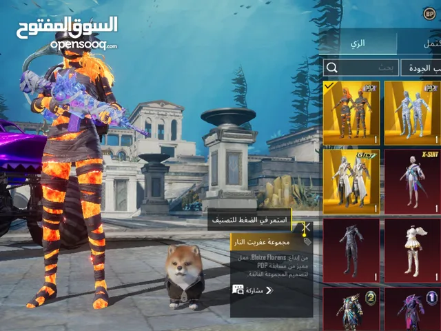 Pubg Accounts and Characters for Sale in Amman