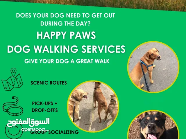 ليحظى كلبك ب افضل النزهات في حياته    DOG WALKING SERVICES