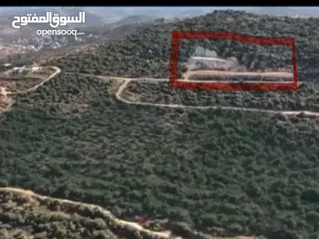 أرض مطلة كفر عين مجرفة جاهزة واصل شوارع وخدمات