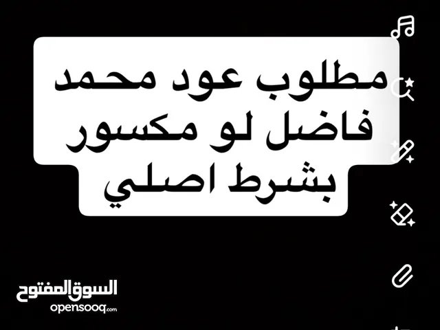 مطلوب عود محمد فاضل اصلي التواصل خاص