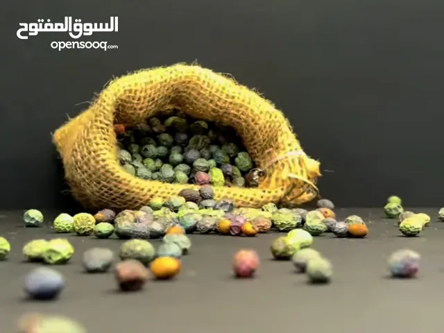 مغز بطم بري طبيعي من جبال كردستان – طعم أصيل وفوائد مذهلة!