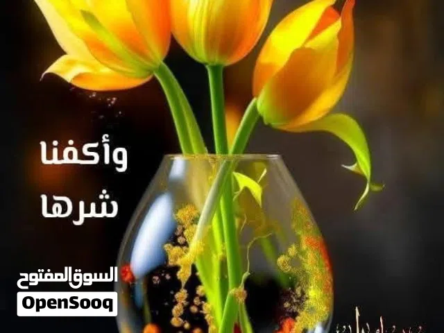 معلمة تأسيس بخبرة 11 سنة جميع المواد من اول لسابع