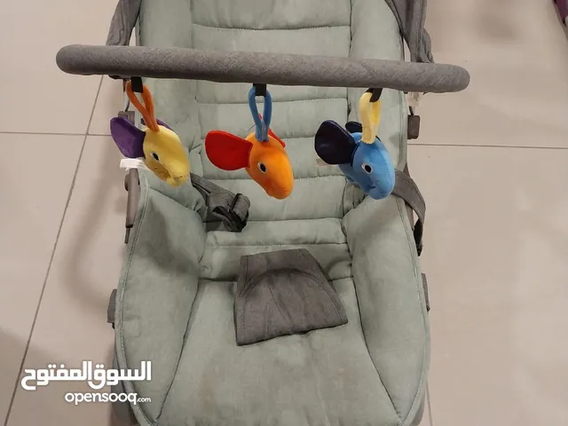 Centerpoint Baby Rocker with Canopy Price Reduced