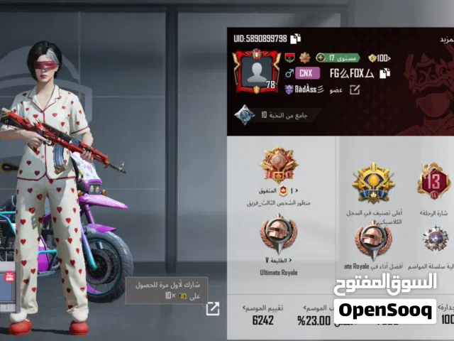 Pubg Accounts and Characters for Sale in Al Maya