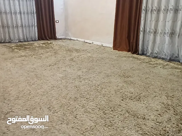 موكيت و برادي