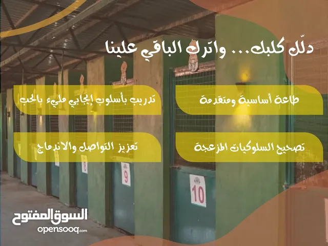 جميع احتياجات كلبك وقطتك ..لدينا