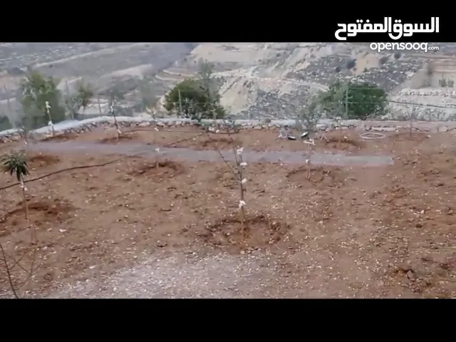 Mixed Use Land for Sale in Hebron Tapuah