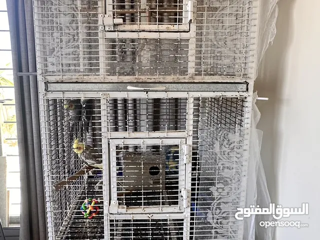 قفص طيور ثلاث طوابق مع طيرين كوكوتيل