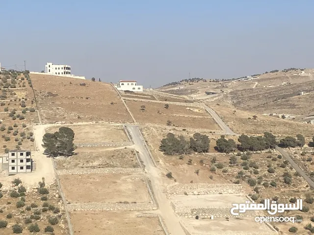 Farm Land for Sale in Zarqa Um Rummanah