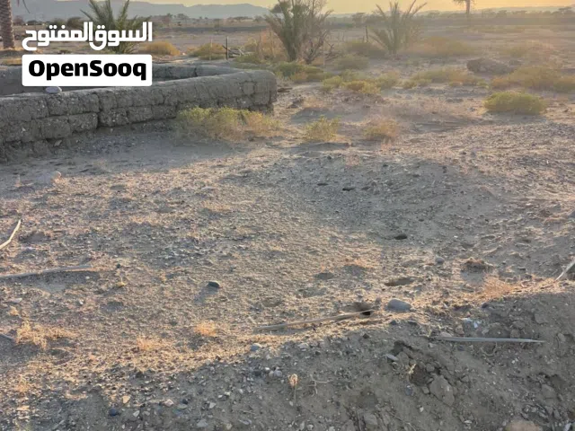 2 Bedrooms Farms for Sale in Al Dakhiliya Adam