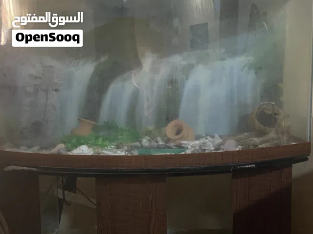 حوض سمك للبيع