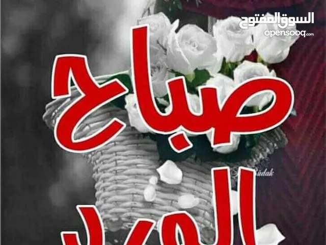 مطلوب مطلوب حسون.   وذكر ياسمين موزنبيق