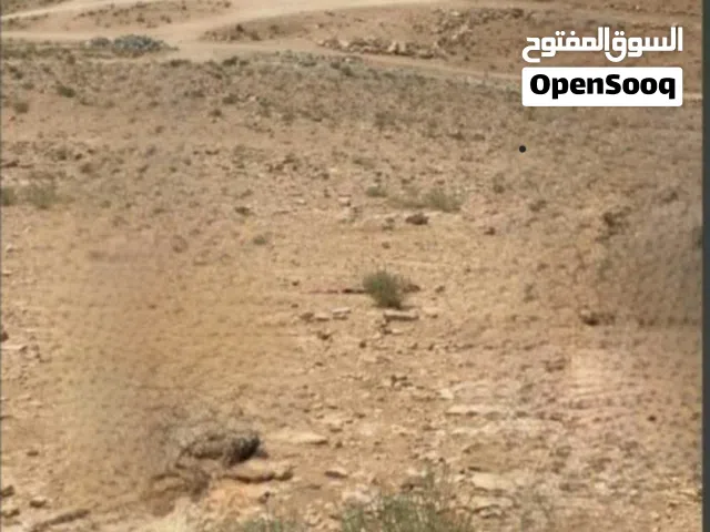 ارض للبيع بالزرقاء  الجديدة