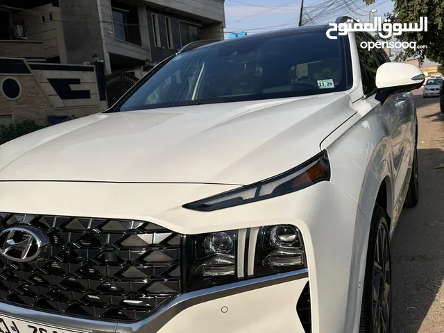 سنتافيا كالكرافي فول 2023