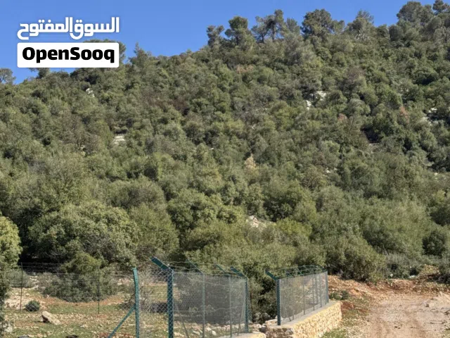 ارض ب اجمل مناطق الغابة واصل جميع الخدمات