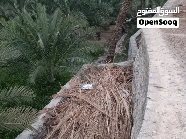 للبيع مزرعه