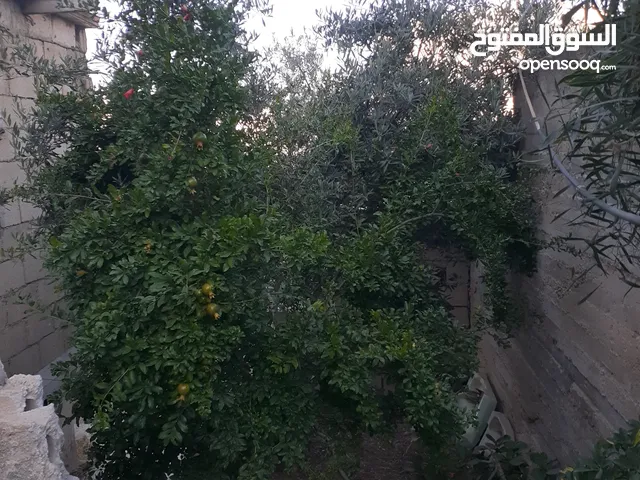 بيت للبيع طابقين